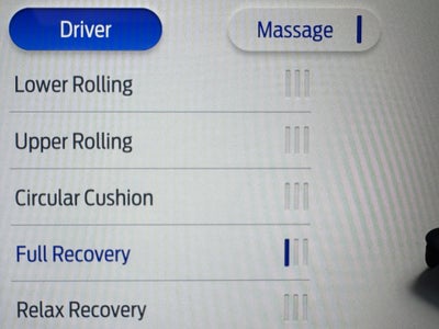 2025 Ford Super Duty F-450 DRW Platinum