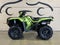 2021 Honda Fourtrax Foreman Rubicon IRS