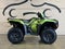 2021 Honda Fourtrax Foreman Rubicon IRS
