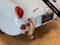 1961 Austin Healey Bugeye Sprite Base
