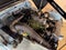 1961 Austin Healey Bugeye Sprite Base