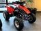 1999 Honda TRX300EX Fourtrax