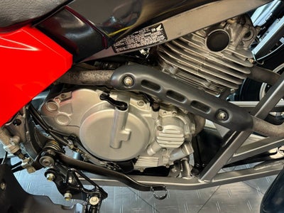 1999 Honda TRX300EX Fourtrax